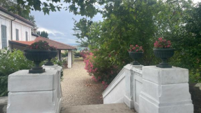 Villa Pona